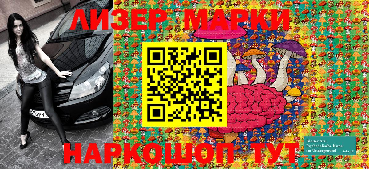 Шали  Марки NBOMe 1500мкг  Вход с VPN  Марки NBOMe 1500мкг 